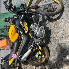 YAMAHA セロー250の画像