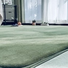 【USED】
リビング用低反発ラグマットの画像