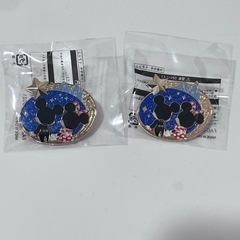 ピンバッジ ディズニー夜限定　の画像