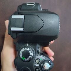 超美品　nikon d40 本体のみの画像