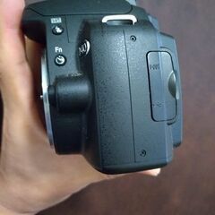 超美品　nikon d40 本体のみの画像