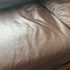 ソファの画像