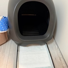 猫のトイレの画像
