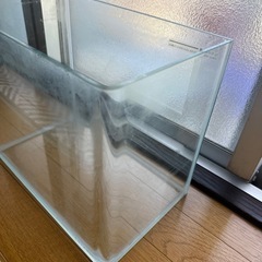 コトブキ30センチ水槽です。の画像