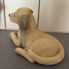 【犬】ラブラドールレトリバーの画像