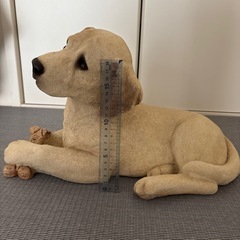 【犬】ラブラドールレトリバーの画像