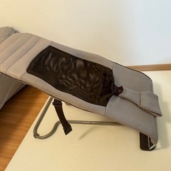 Richellのバウンサー
の画像