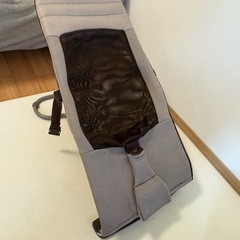 Richellのバウンサー
の画像
