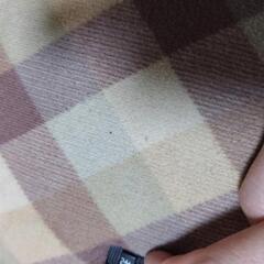 【動作確認済】平型電気あんかの画像