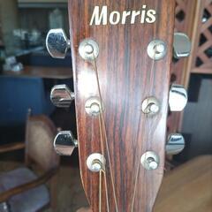 モーリス　Morris　ギター　w-20の画像