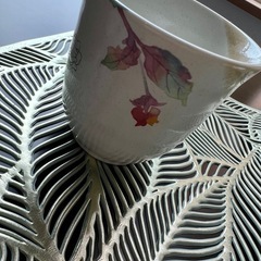 湯呑み🍵の画像