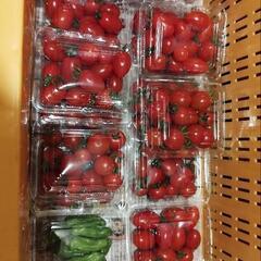宮の森で無人販売中！ミニトマト1パック100円