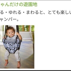 evenflo(イーブンフロー) ドアジャンパーの画像