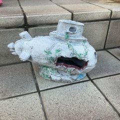 魚のやつの画像