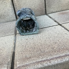 魚のやつ3の画像
