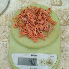 接ぎ木クリップ　722gの画像
