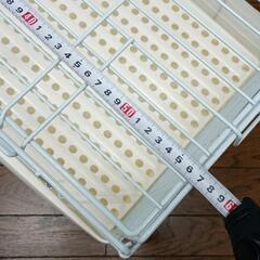 0728-001 小動物ゲージの画像
