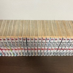 砂の栄冠　全巻セットの画像
