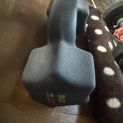 10キロダンベル×3本　バラ売り可！の画像