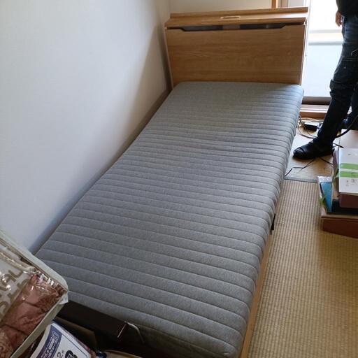 超お買い得品！！ニトリ電動リクライニングベッド (ゼブラ) 宝塚