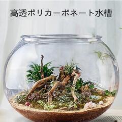 金魚鉢30cmの画像