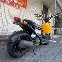 ★8万円！ズーマー　キャブ車　セル1 実動車　要整備　ホンダ　ズーマー　AF58 原付の画像