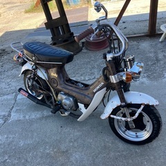 今週限定出品 実働 ホンダ 国内フレーム cf50 シャリー 書類あり レストアベース カスタム の画像
