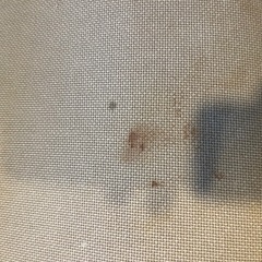 コーナーソファ(イケア)の画像