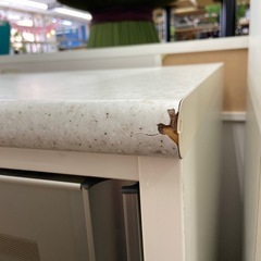 キッチンカウンター【リサイクルフカツ岡崎倉庫店】250728NA-12の画像