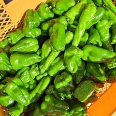 本日の無人販売🚩🍆お得✨の画像