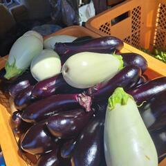 本日の無人販売🚩🍆お得✨の画像