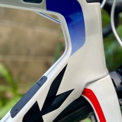 LOOK 795 BLADE RS ULTEGRA R8000の画像