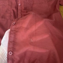 INGNI  半袖シャツ🎀   の画像