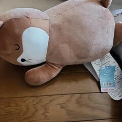 ぬいぐるみの画像