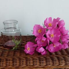 布花 秋桜 フラワーベース付の画像