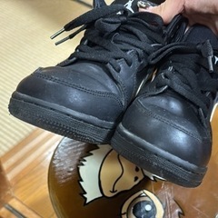 ナイキ ジョーダン スニーカー 24cmの画像