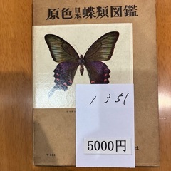 蝶類図鑑【福生市リサイクルプラザNo.1351】の画像