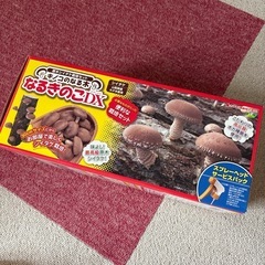 しいたけ栽培キットの画像