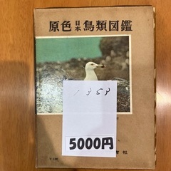 鳥類図鑑【福生市リサイクルプラザNo.1353】の画像