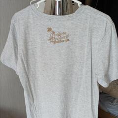 📙☕Tシャツ    📙☕Mサイズの画像