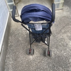 バギー
の画像