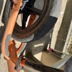 ストライダーオレンジの画像