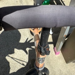 ストライダーオレンジの画像