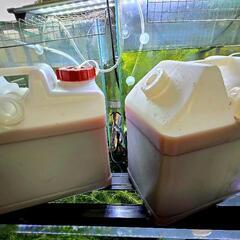 No.1【20L】PSB, 超濃縮光合成細菌　10Lﾀﾝｸ　2本に入れて、お渡ししますの画像