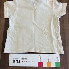 【中古】90㎝　てんとう虫　半袖Ｔシャツの画像