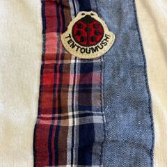 【中古】90㎝　てんとう虫　半袖Ｔシャツの画像