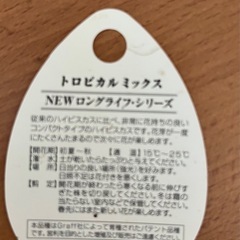 ハイビスカス　の画像