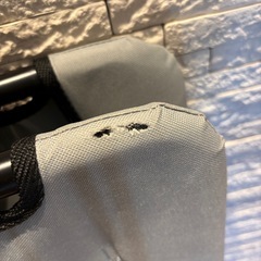 犬用コットLサイズ　ペットコット　ベッドの画像