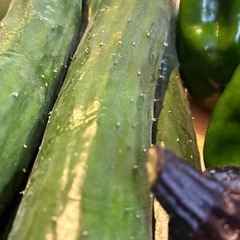 7/28本日朝どれ野菜セットの画像