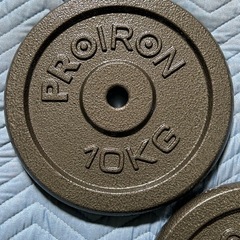 99a PROIRON ダンベル プレート ダンベル おもり追加 純鋳鉄 10kg 2個セット (穴径25mm)  y072814aの画像